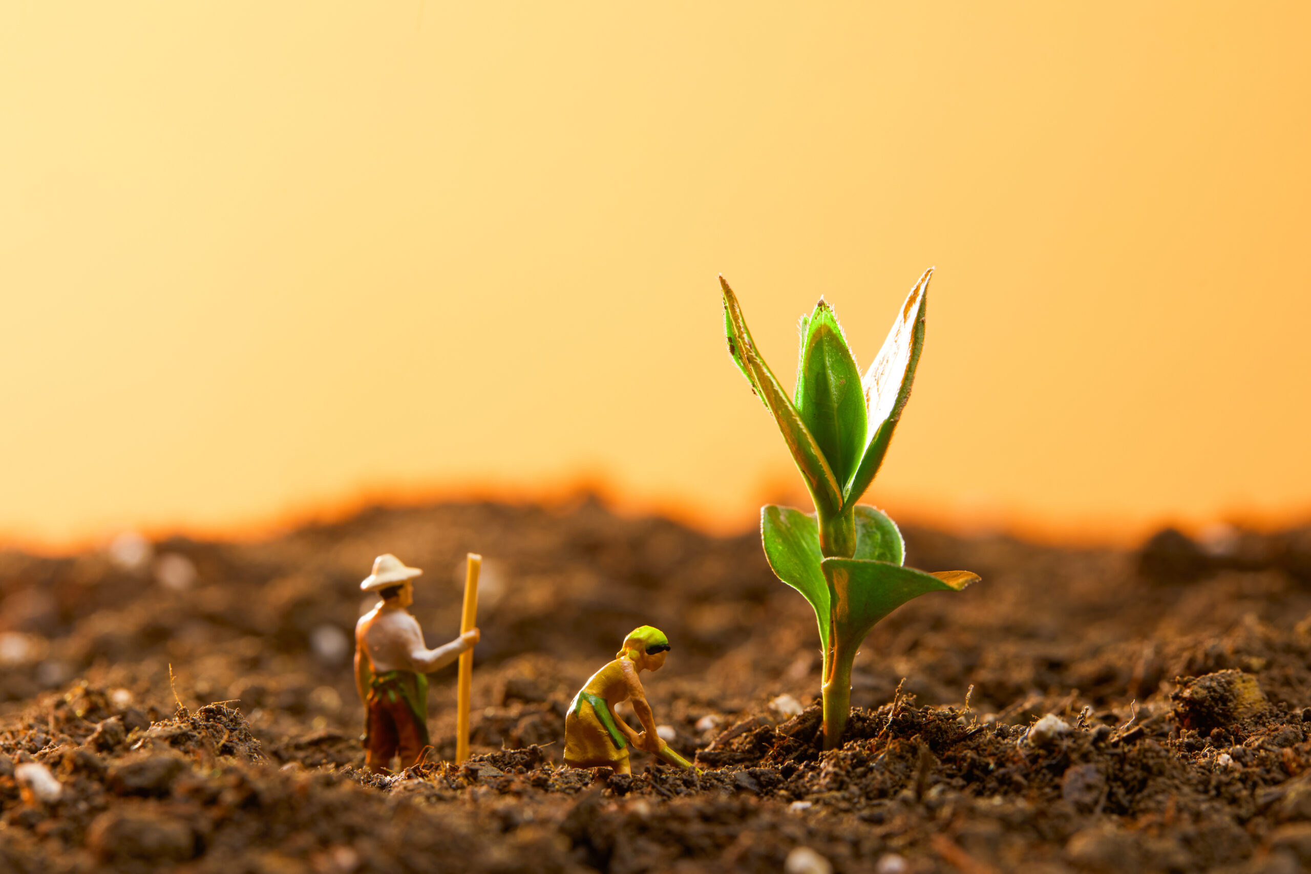 Miniature farmers tending a young plant in rich soil.